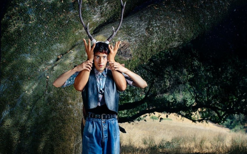A person with two arms holding deer antlers on their head